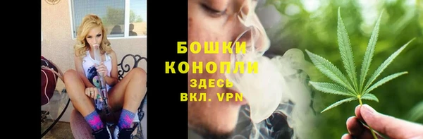 стафф Михайлов