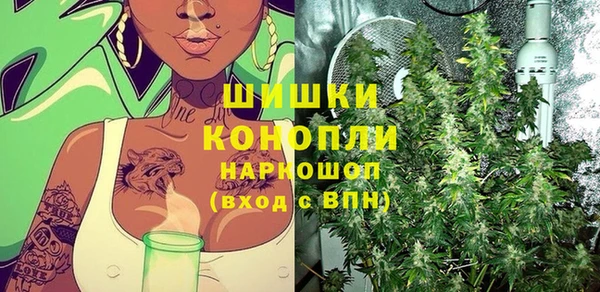 стафф Михайлов