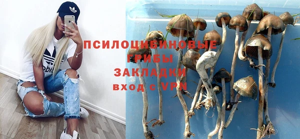 ALPHA PVP Надым